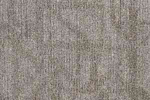 Ковровая плитка Art Exposure Коллекция Trusted Guide Trusted Guide 958 фото  | FLOORDEALER